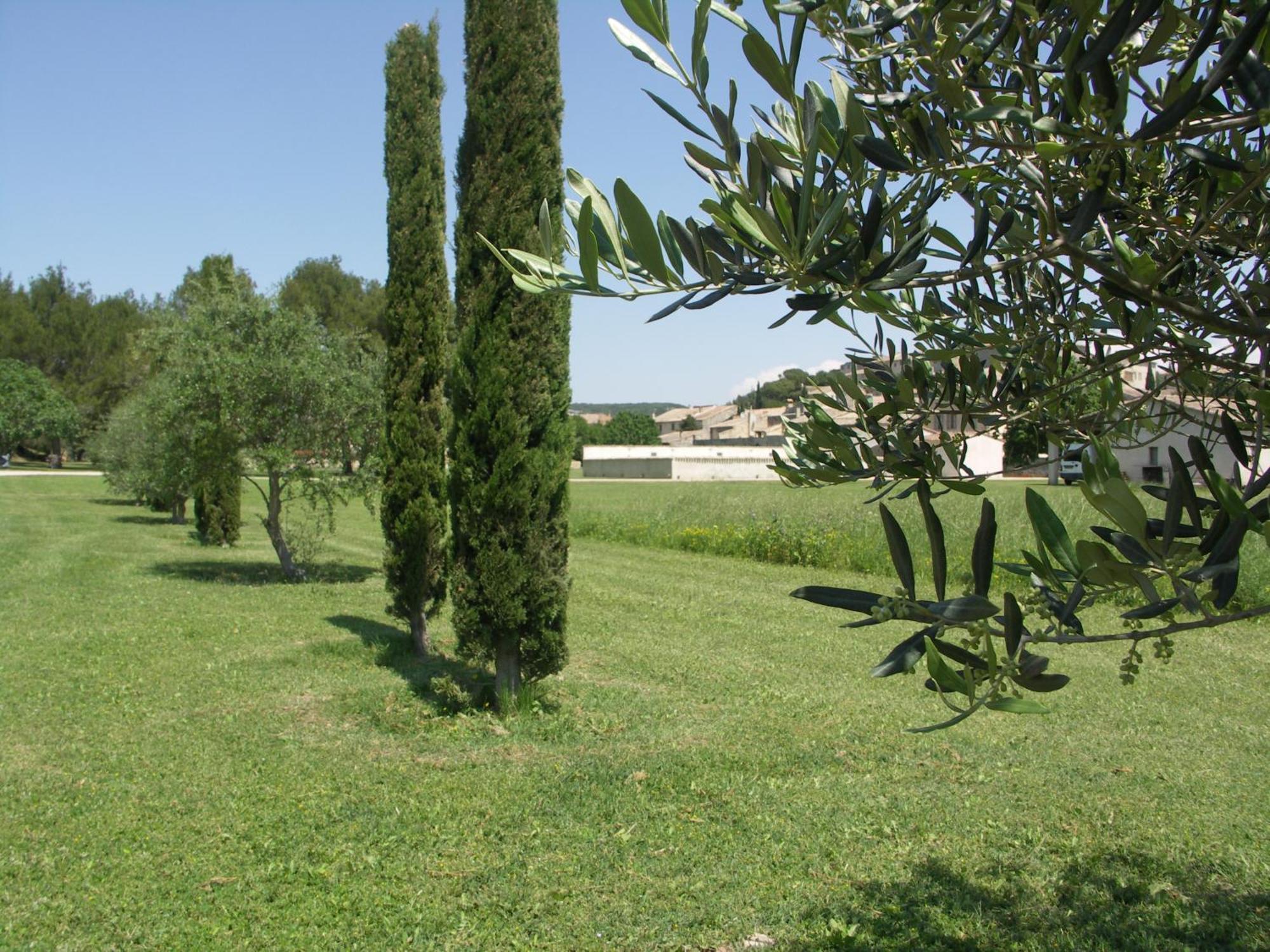 Domaine Saint Martin Hotel Valliguieres Exterior photo